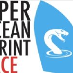 Viper-Ocean-Sprint-Race.jpg